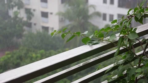 Dhaka rain in slow motion falling on leaves Stock Footage 152880145