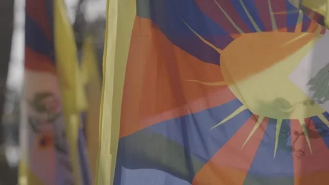 DHARAMSHALA, INDIA - MAY 20, 2026: Tibetan  Flag Fluttering Stock Footage 345632516
