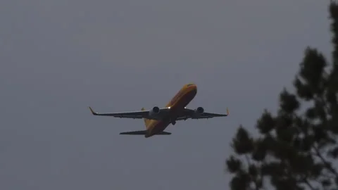 DHL cargo plane flies overhead Stock Footage 308248953