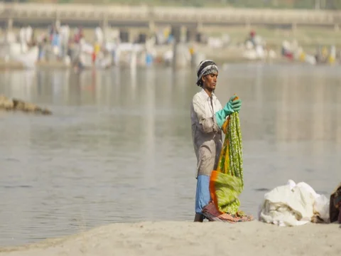 Dhobi Ghat (laundry by hand) using the Yamuna to wash traditional Indian Stock Footage 73002658