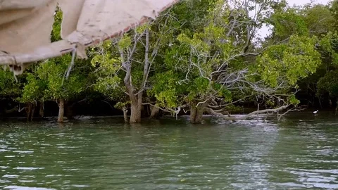 Dhow #5 Stock Footage 120285055