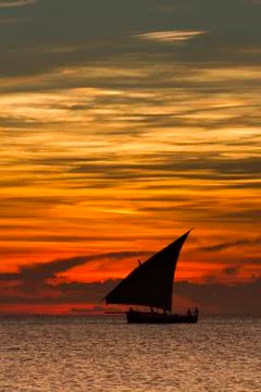 Dhow sailing during sunset in Zanzibar. Stock Photos