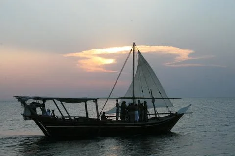 Dhow sailing in Persian Gulf, setting sun Stock Photos