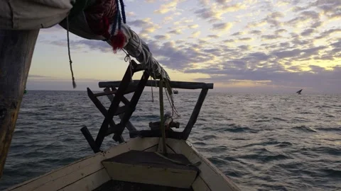 Dhow Sunrise View Stock Footage 317837744