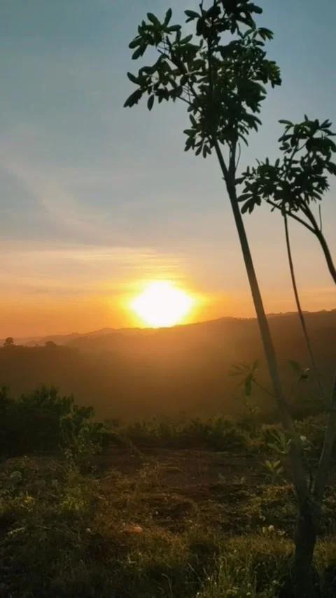 Di saat senja Stock Footage 210068896