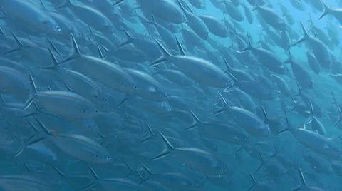 DI01 002 Stock Footage 8349904