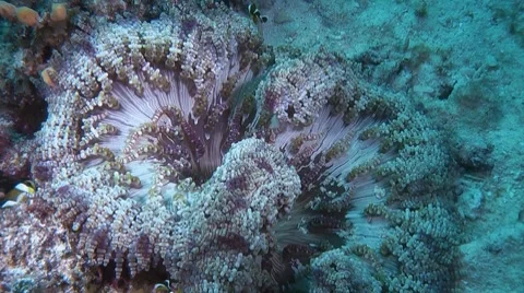 DI01 004 Stock Footage 8351267