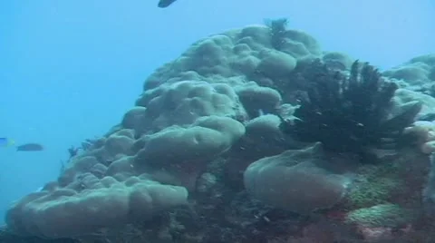 DI01 005 Stock Footage 8352953