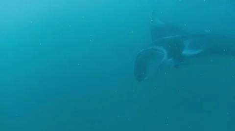 DI01 006 Stock Footage 8354599