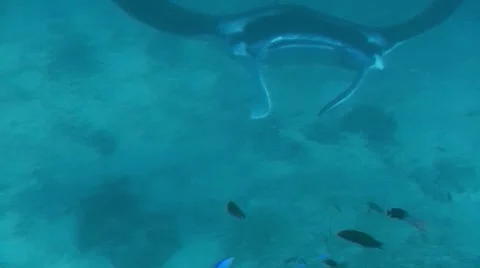 DI01 007 Stock Footage 8356472