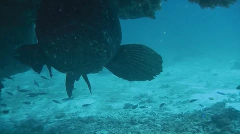 DI01 008 Stock Footage 8357456