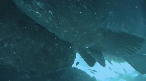 DI01 010 Stock Footage 8357463