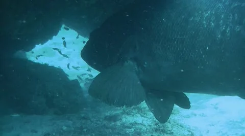 DI01 012 Stock Footage 8357482