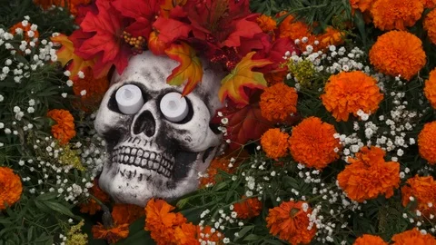 Dia de los Muertos Skull with Marigold Flowers Stock Footage 81889574