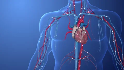 Diabetes risks to peripheral neuropathy Stock-Footage 285406923