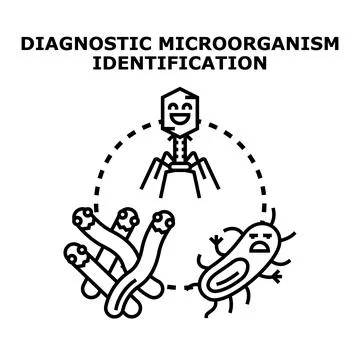 Diagnostic microorganism identification detecting diseases and infections Stock Illustration