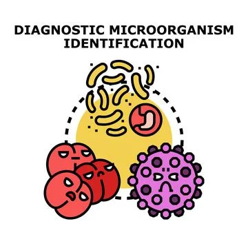Diagnostic microorganism identification detecting various pathogens concept Stock Illustration