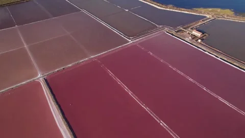 Diagonal aerial move over a grid of pink and grey salt pans Stock Footage 346288604