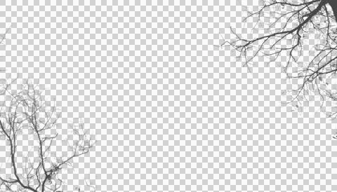 Diagonal bare winter tree branches isolated on transparent background Stock Illustration