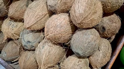 Diagonal camera tilt of coconuts stacked in a supermarket basket Stock Footage 310742827