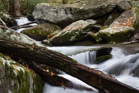Diagonal deadfall tree log across a flowing creek in fall Stock Photos