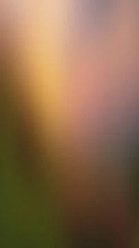 Diagonal Gradient of Yellow, Pink, and Green with Grain Texture abstract ba.. Stock Illustration