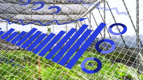 Diagonal grid appearing triggers AR data overlay growing across greenhouse, Stock Footage 335761679