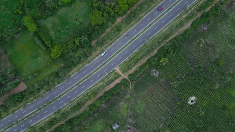 Diagonal Highway Across Green Fields Logistics Route Vídeo Stock 334136886