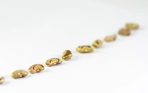 A Diagonal line of Bean Stock Photos