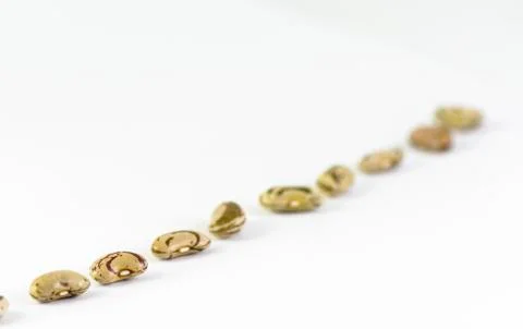 A Diagonal line of Bean Stock Photos