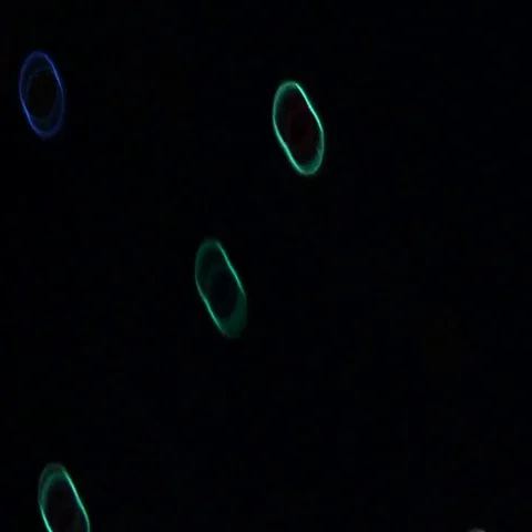 Diagonal movement multi-colored ovals Stock-Footage 69442676