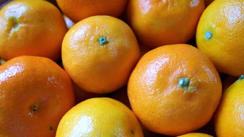 Diagonal Pan Over Lush Clementines: Dynamic Top-Down View - 4K Stock Footage 258794203