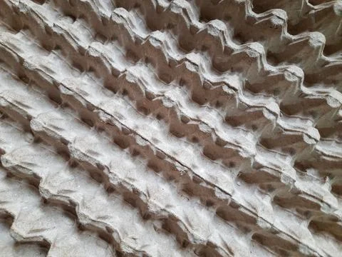 Diagonal Pattern of Quail Egg Carton Texture Fotos de archivo