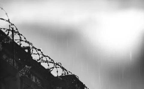 Diagonal prison barbed wire during rain hd 写真素材