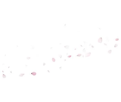Diagonal Sakura Petals Vector With Soft Falling Pink Petals For Spring Mood Stock Illustration