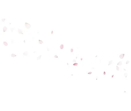 Diagonal Sakura Petals Vector With Soft Falling Pink Petals For Spring Mood Stock Illustration