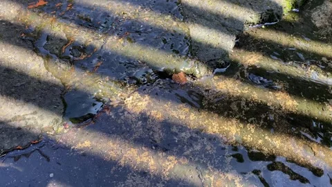 Diagonal shadow Stock Footage 330575678