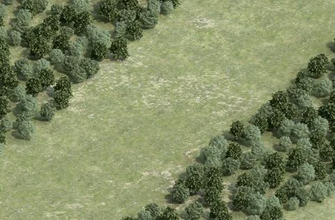 Diagonal strip steppe in forest Stock Illustration