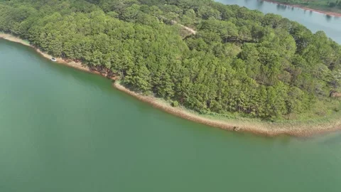Diagonal Tilted Drone Over Pine Forest Edge and Lake Water 動画素材 337012992