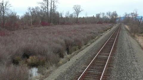 Diagonal Train Tracks 4k 30fps 库存影片 145031721