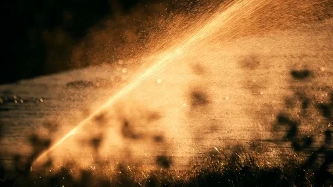 Diagonal Water Spraying Sunset Back Lit Sprinkler Stock Footage 74331874