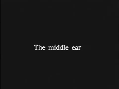 A diagram and function of the middle ear in the 1920s. Video stock 74935906