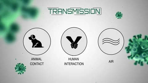 Diagram Stock Footage 155221106