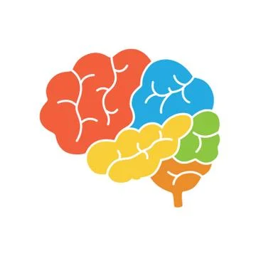 A diagram of the human brain side view, anatomy. Vector illustration in flat Stock Illustration