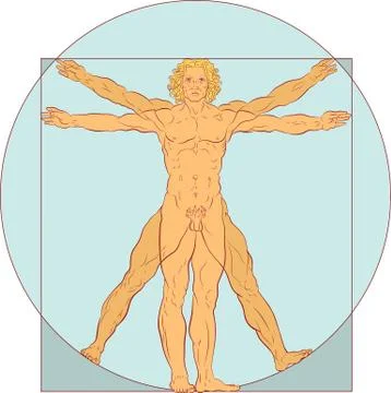 Diagram of a Man Stock Illustration