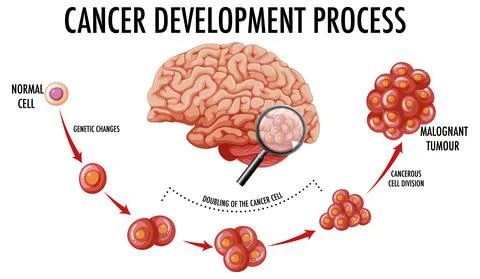 Diagram showing cancer development process Stock Illustration