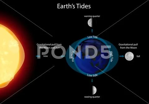 Diagram showing earth tides: Royalty Free #119764362