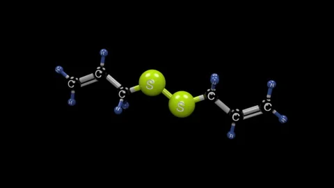 Diallyl disulfide molecule. Stock Footage 329322808