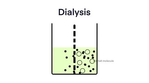 Dialysis technique is used to purify large molecules, process of separating Stock Footage 270550902