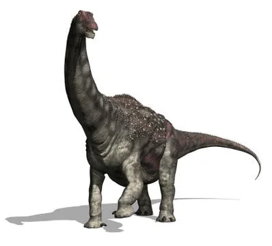 Diamantinasaurus 2 Stock Illustration